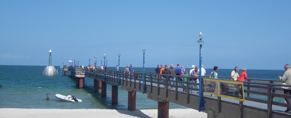 zingst seebrücke